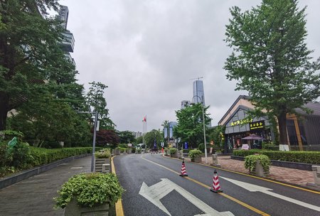 茶博会